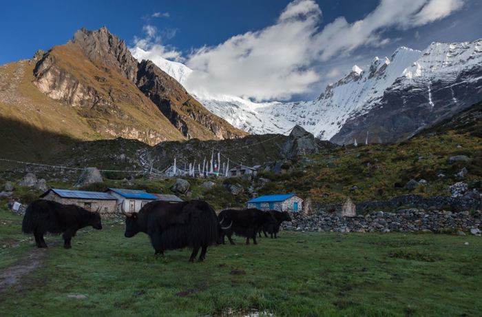 Langtang Valley Trek - 8 Days 